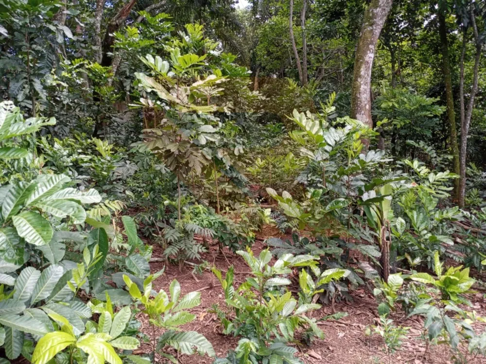 Chácara, 1 quarto - Foto 8