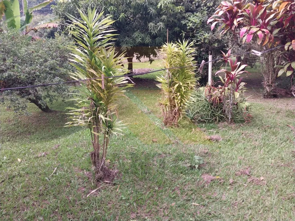 Chácara, 3 quartos - Foto 2