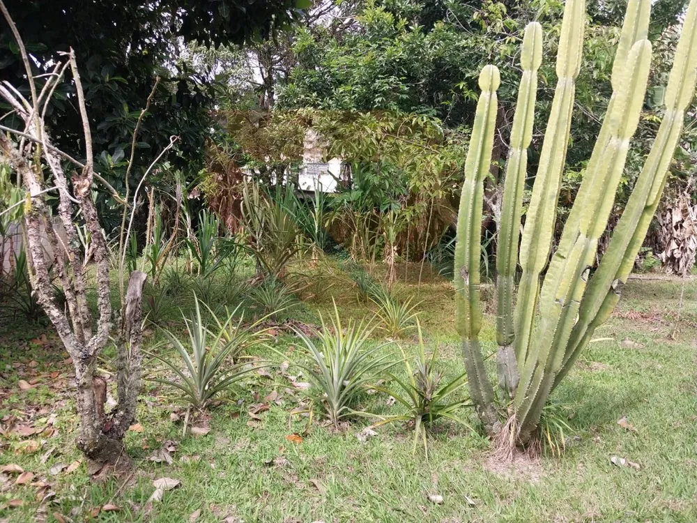 Chácara, 3 quartos - Foto 5