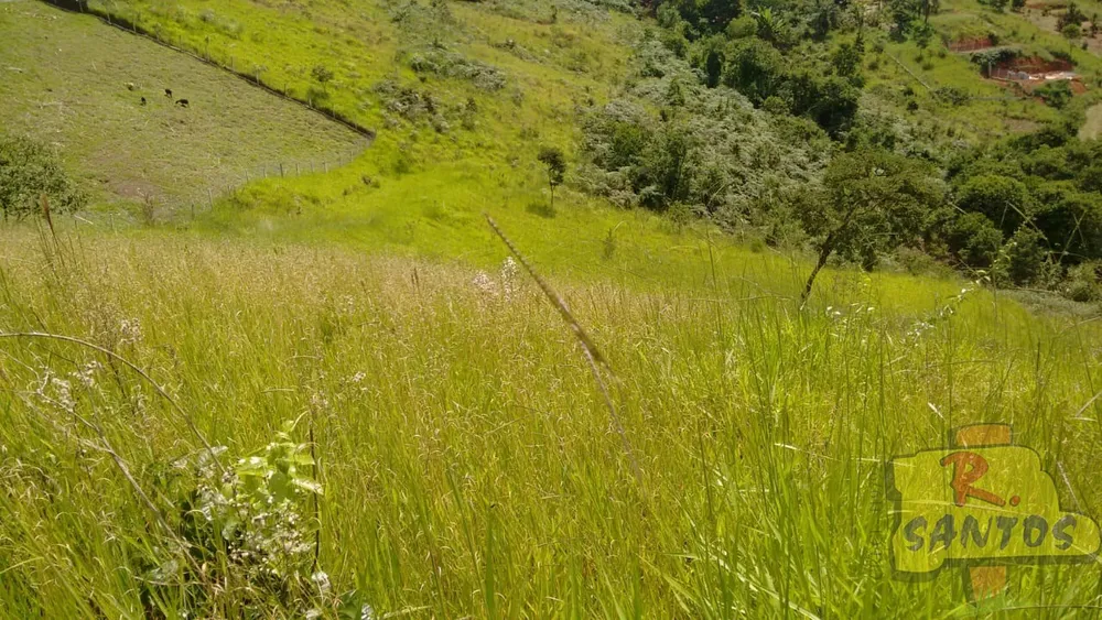 Terreno, 7300 m² - Foto 5