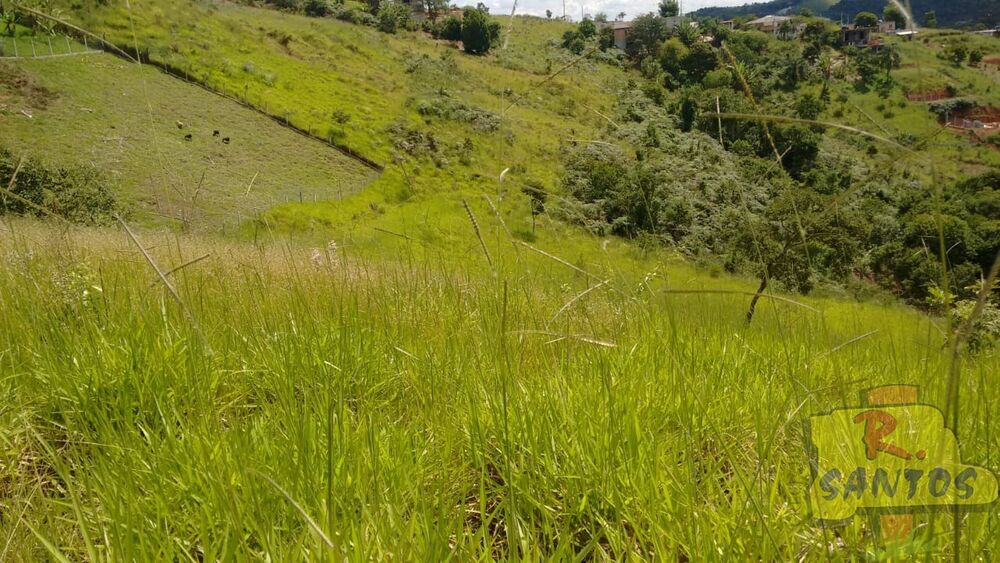 Terreno, 7300 m² - Foto 2