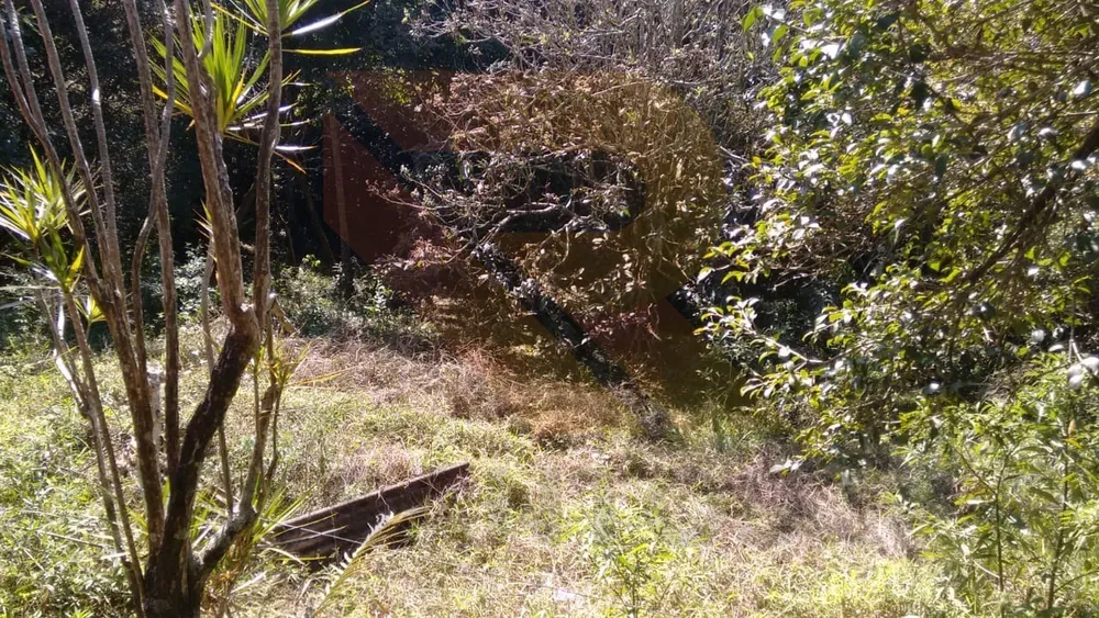 Chácara, 2 quartos - Foto 5