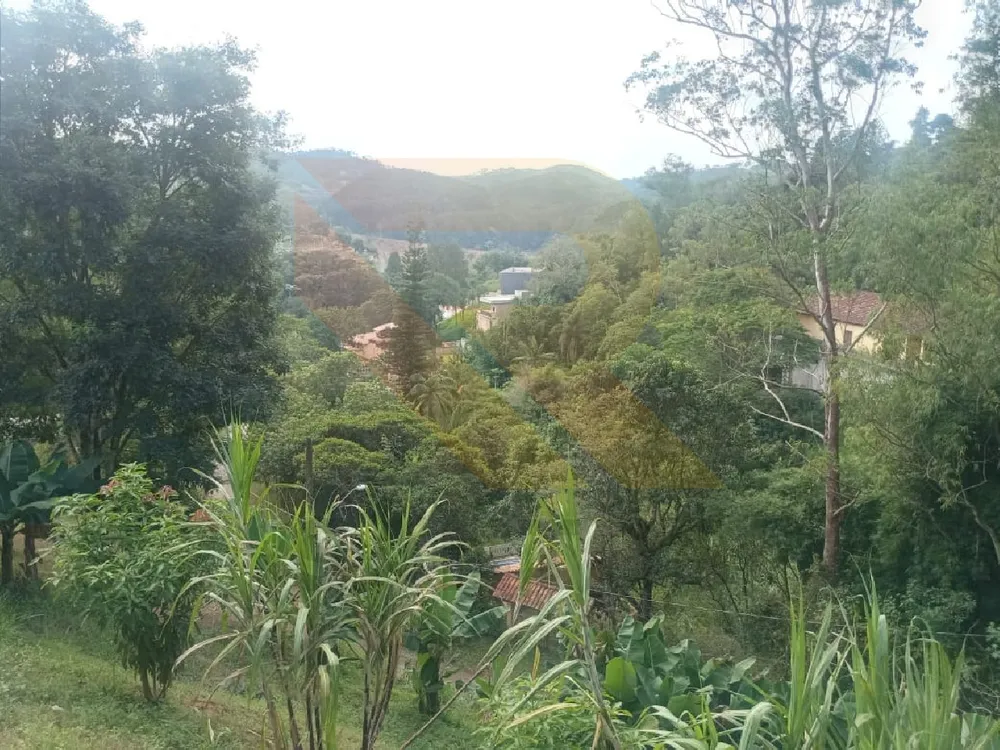 Chácara, 4 quartos - Foto 1