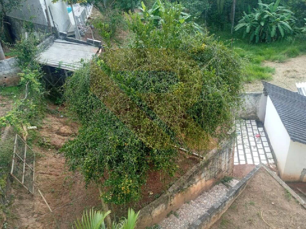 Chácara à venda com 4 quartos - Foto 5