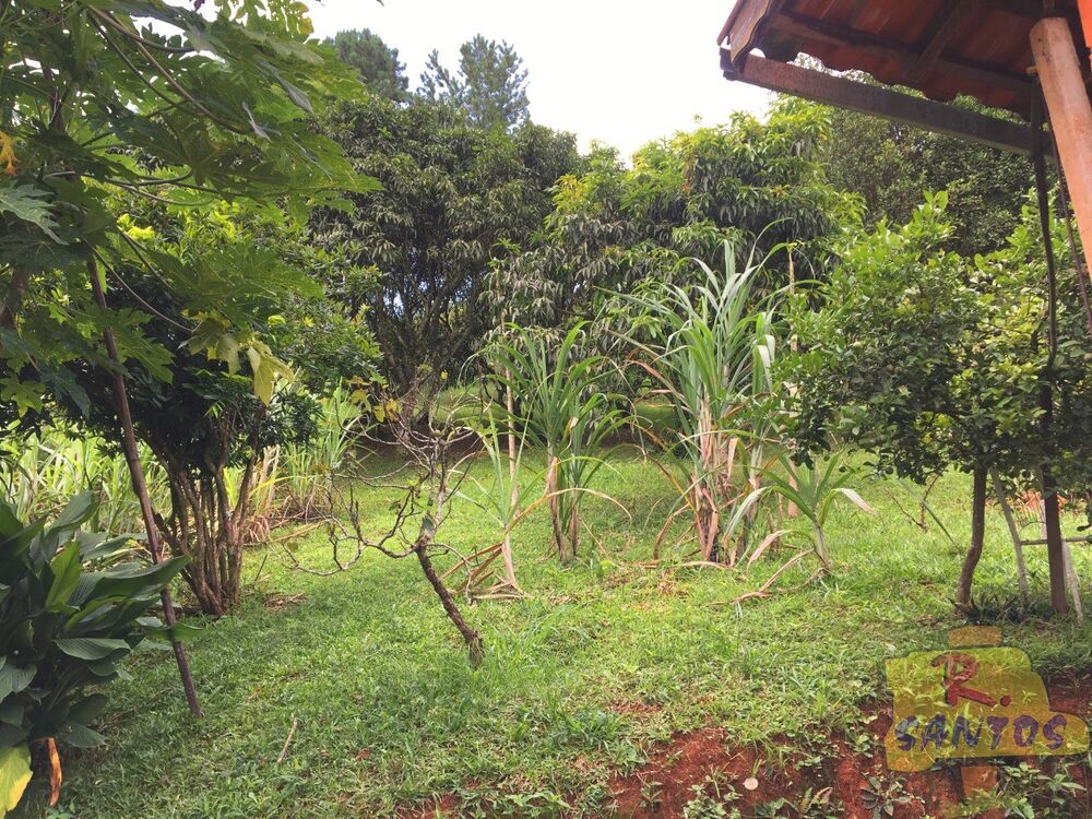 Chácara à venda com 2 quartos - Foto 3