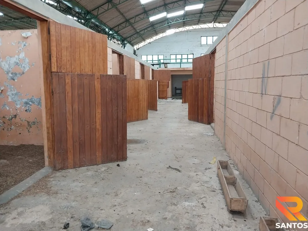 Sítio, 9 quartos - Foto 16