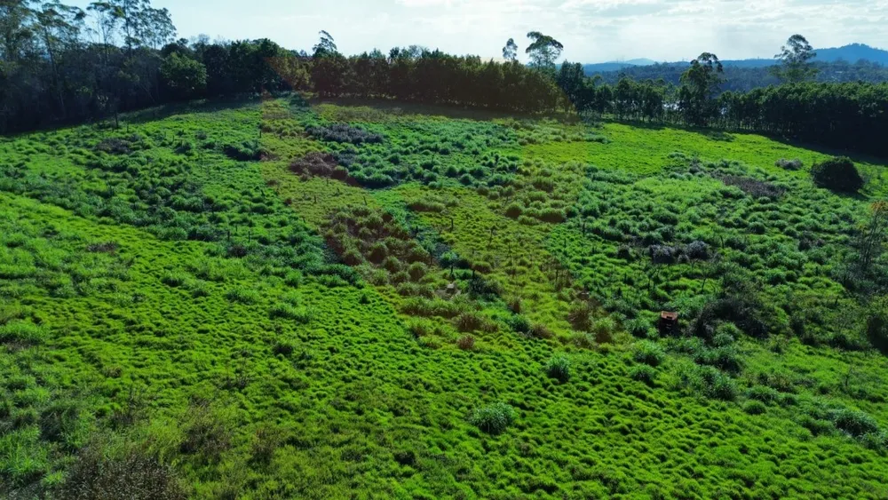 Terreno - Foto 4