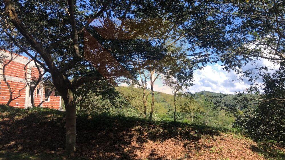 Terreno, 800 m² - Foto 4