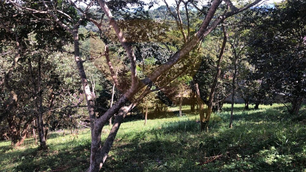 Terreno, 800 m² - Foto 3