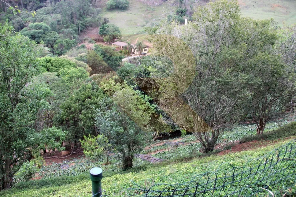 Chácara, 2 quartos, 2000 m² - Foto 17