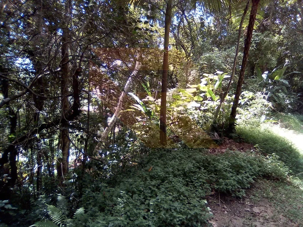 Terreno, 1437 m² - Foto 6