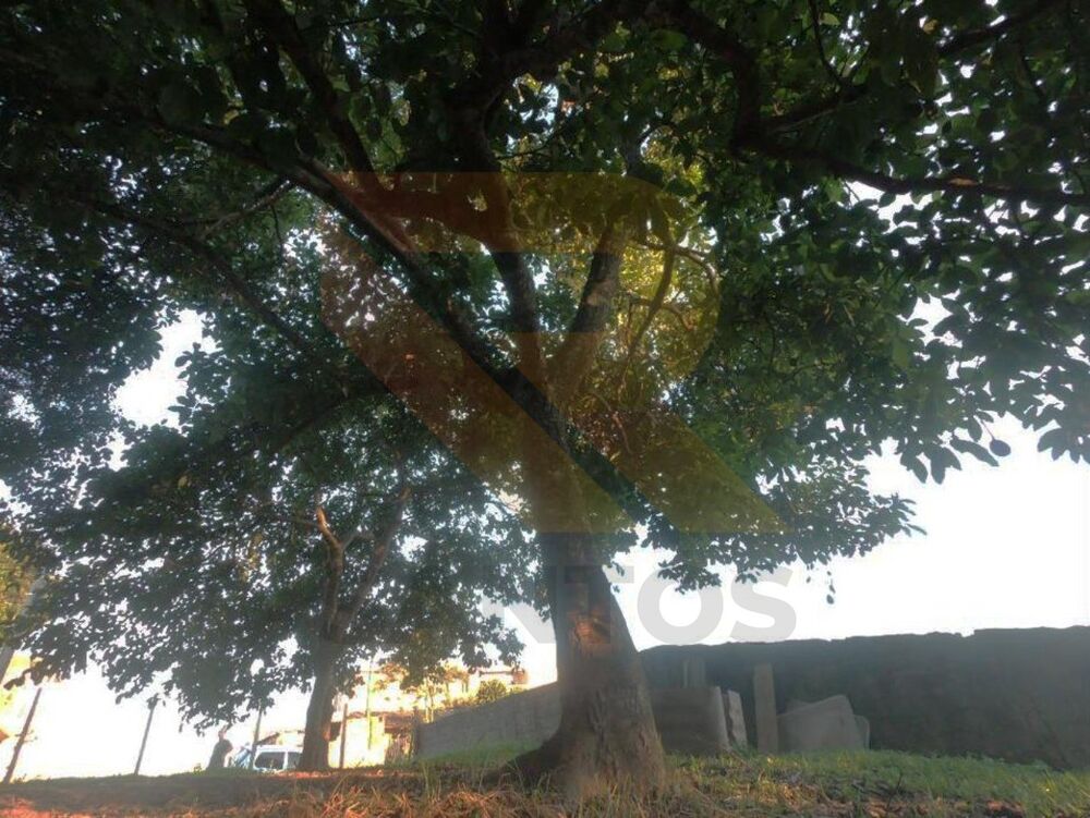 Terreno, 300 m² - Foto 4