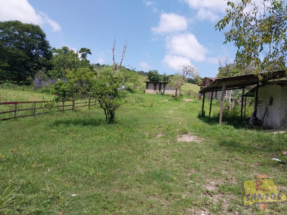 Fazenda - Foto 7