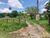 Fazenda-Sítio-Chácara - Foto 2