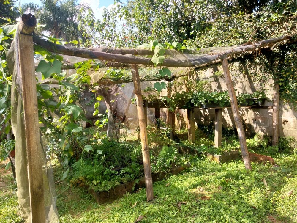 Chácara, 3 quartos - Foto 4