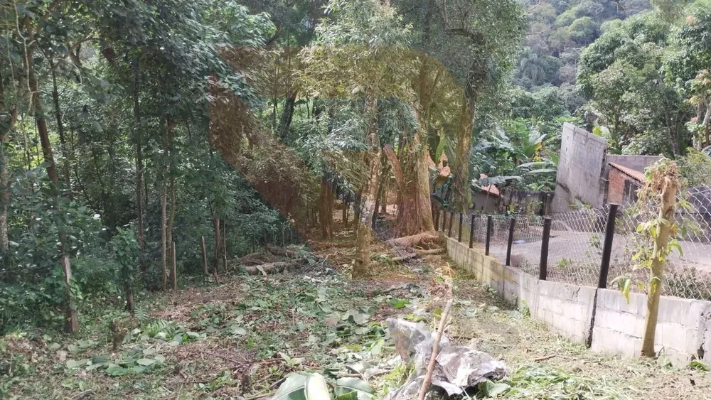 Terreno, 750 m² - Foto 4