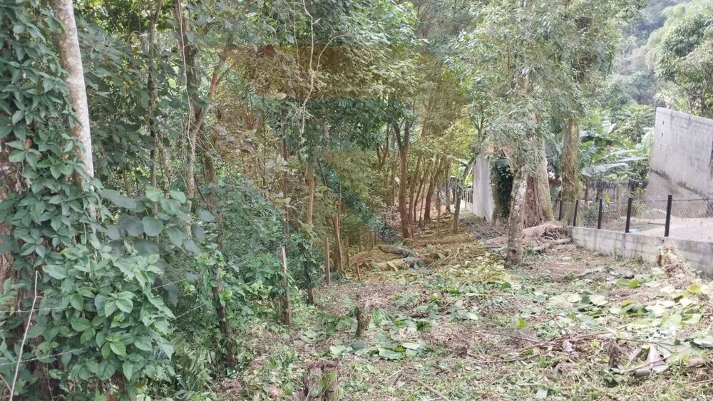 Terreno, 750 m² - Foto 3