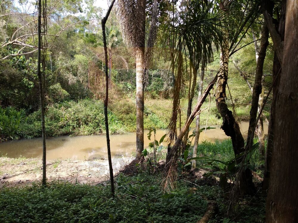 Sítio à venda com 3 quartos - Foto 6