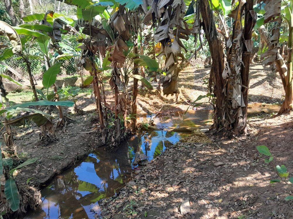 Chácara, 3 quartos - Foto 15