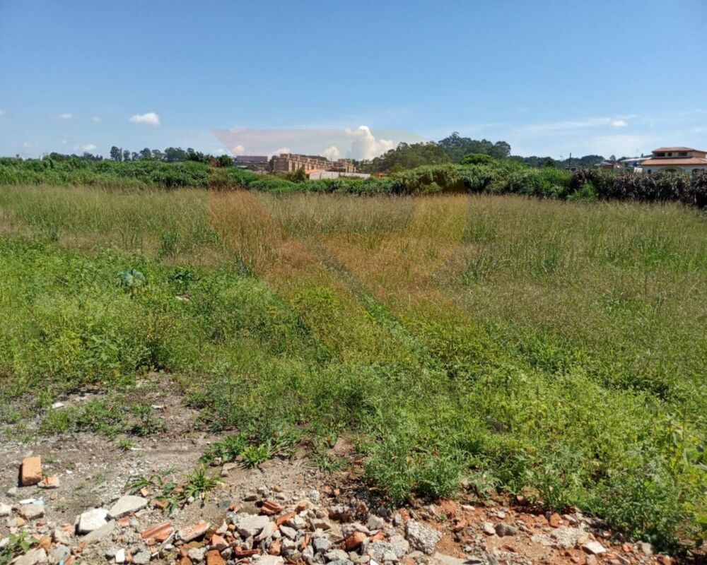 Terreno - Foto 2