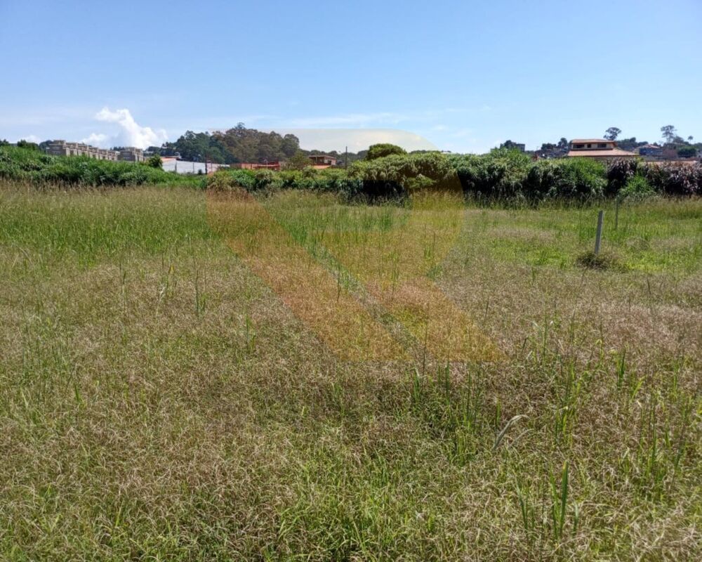 Terreno - Foto 4