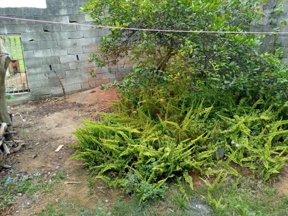 Prédio Inteiro - Foto 12