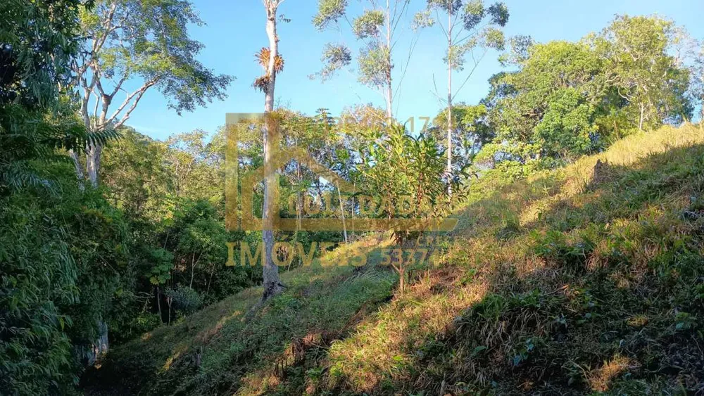 Sítio, 4 quartos, 44000 m² - Foto 6