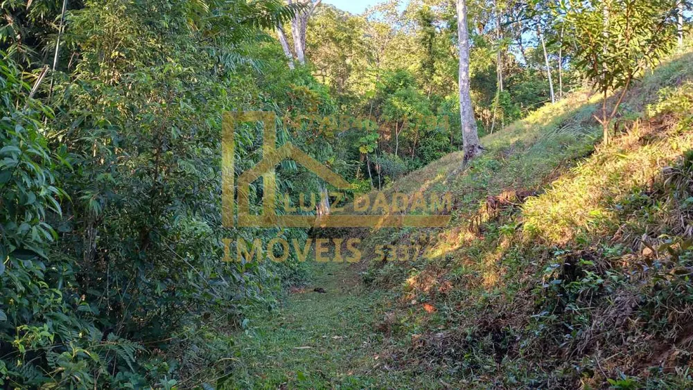 Sítio, 4 quartos, 44000 m² - Foto 7