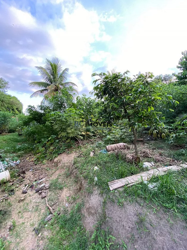 Terreno, 800 m² - Foto 7