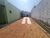 Casa, 3 quartos, 234 m² - Foto 2