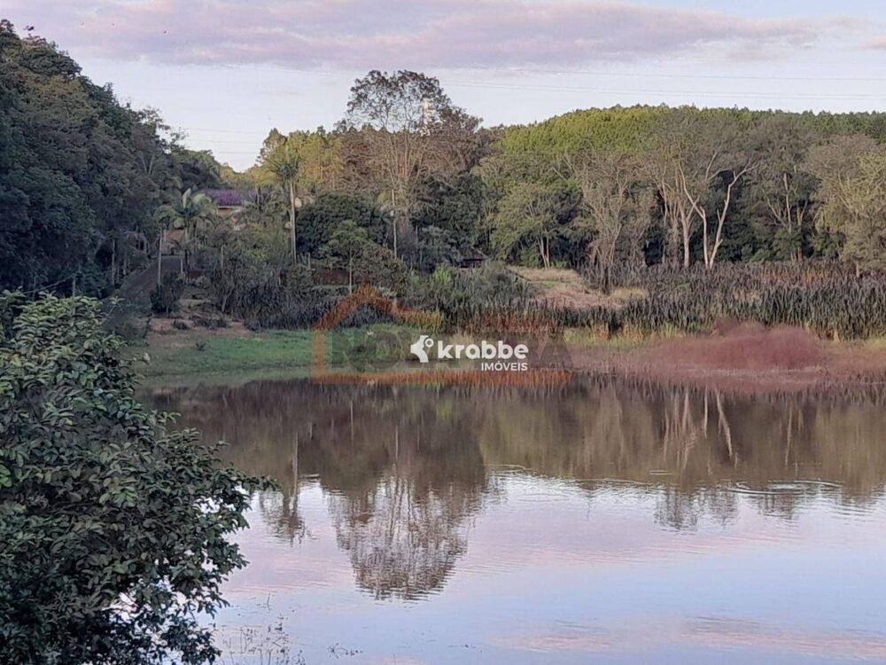 Chácara à venda com 4 quartos, 56000M2 - Foto 12