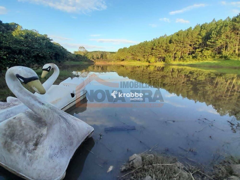 Chácara à venda com 4 quartos, 56000M2 - Foto 3