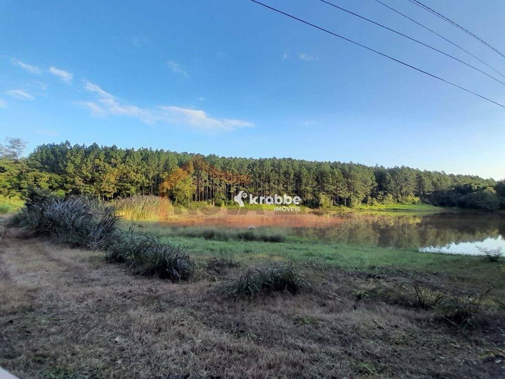Chácara à venda com 4 quartos, 56000M2 - Foto 1