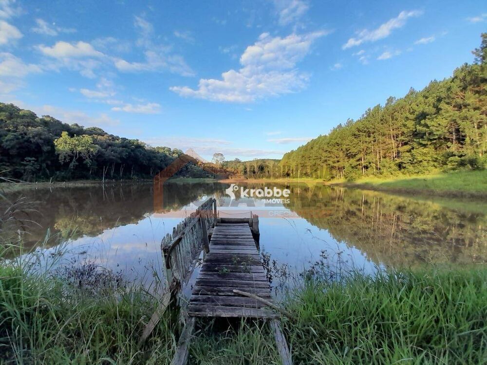 Chácara à venda com 4 quartos, 56000M2 - Foto 11