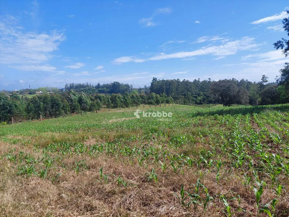 Terreno, 8410 m² - Foto 3