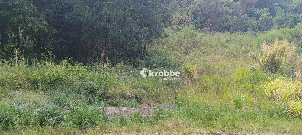 Terreno, 439 m² - Foto 1