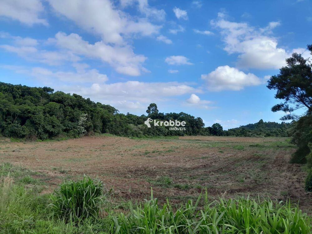 Terreno, 3 hectares - Foto 2