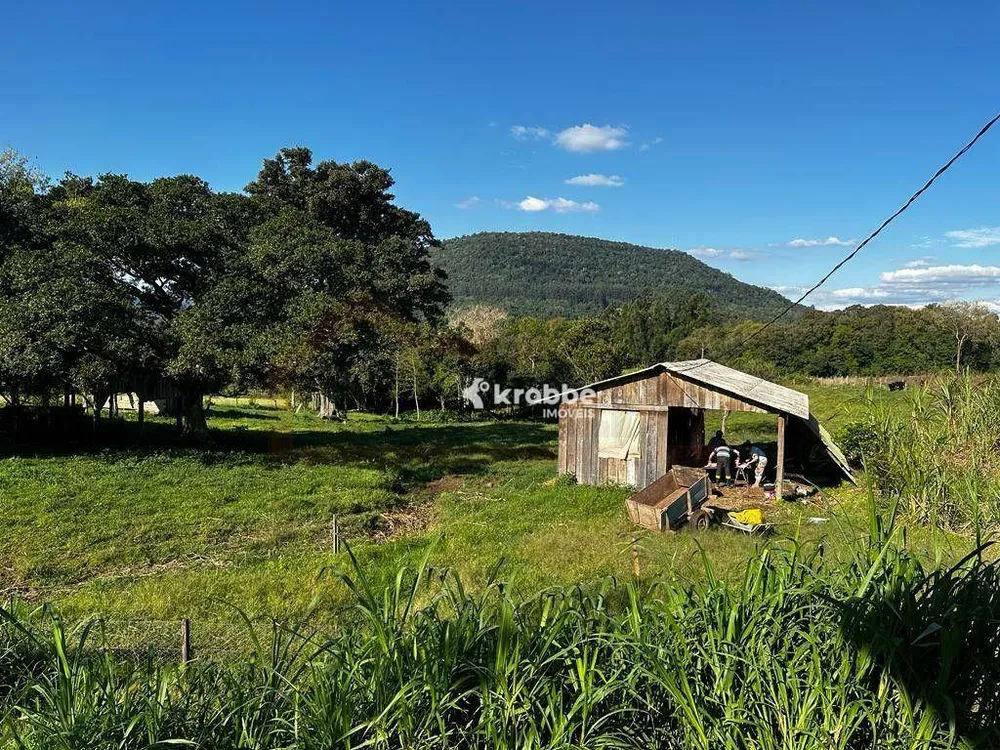 Terreno, 3 hectares - Foto 9