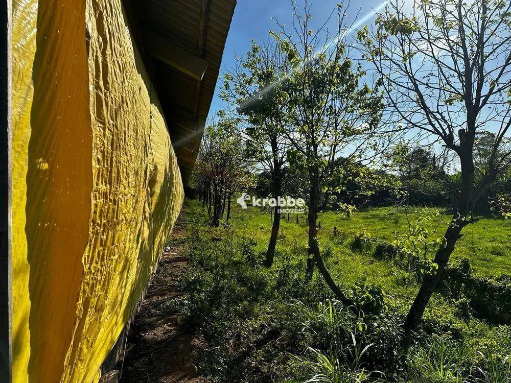 Terreno, 3 hectares - Foto 8