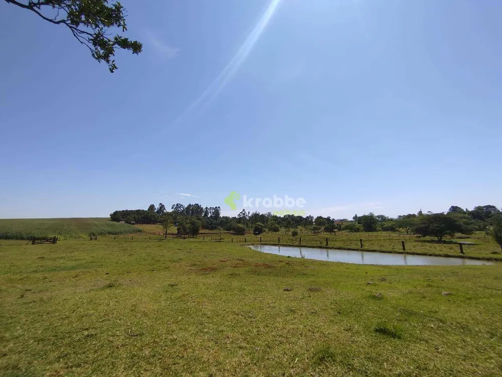 Chácara, 3 quartos, 2 hectares - Foto 4