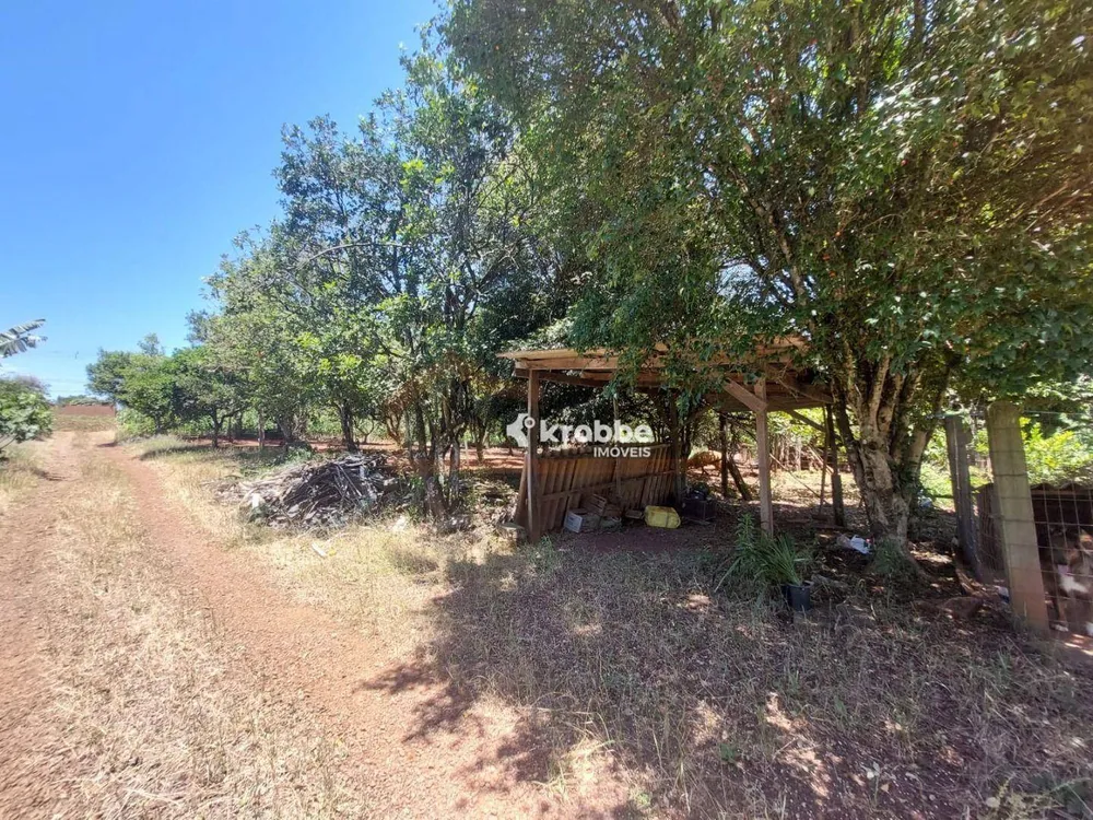 Chácara, 3 quartos, 5746 m² - Foto 8