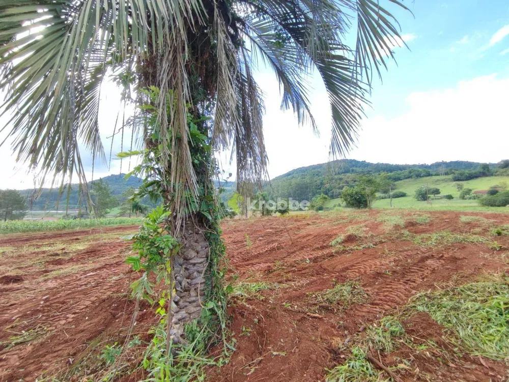 Terreno, 2 hectares - Foto 7
