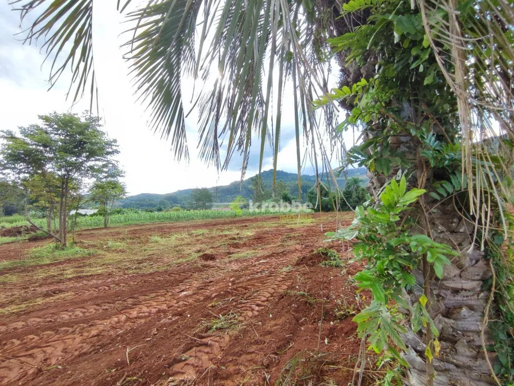 Terreno, 2 hectares - Foto 10