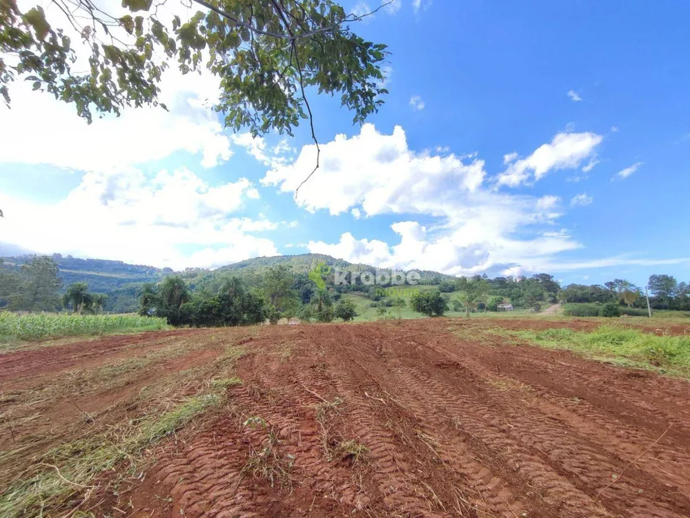 Terreno, 2 hectares - Foto 3