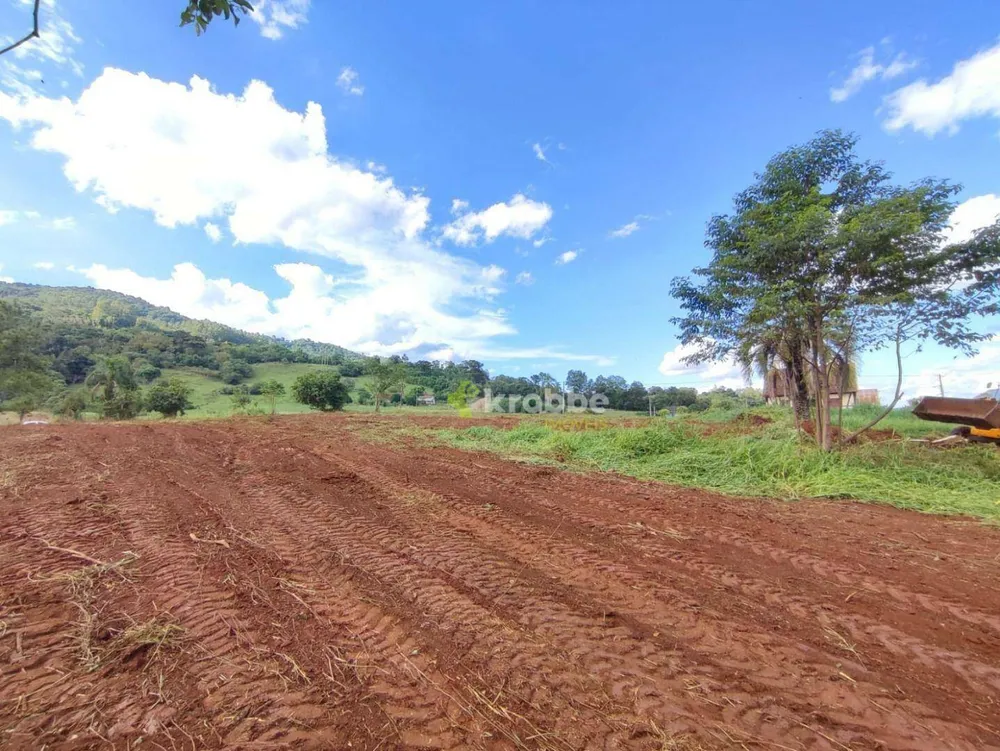 Terreno, 2 hectares - Foto 6