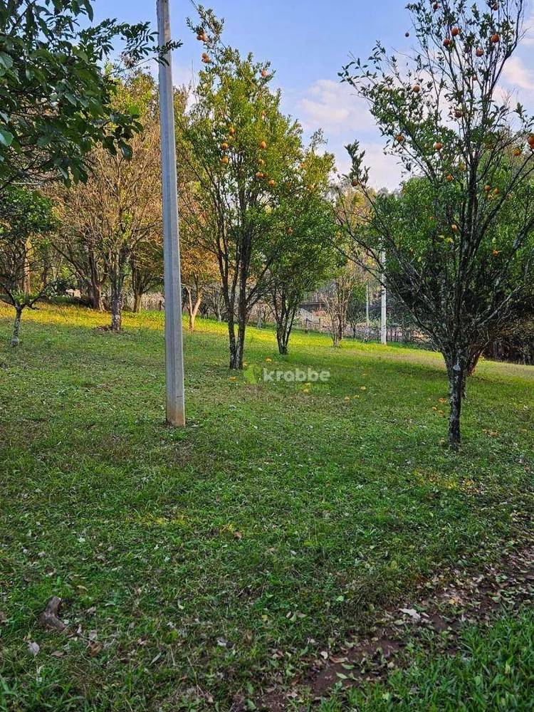 Chácara, 2 quartos, 8850 m² - Foto 11