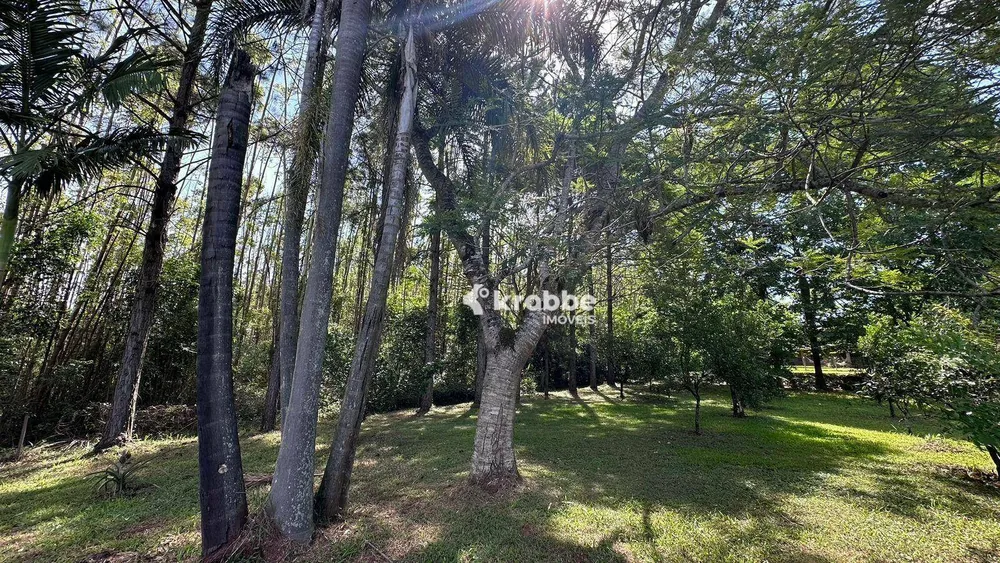 Sítio, 3 quartos, 2 hectares - Foto 4
