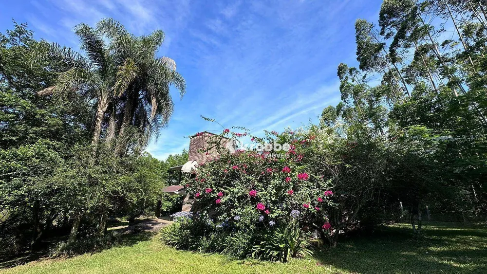 Sítio, 3 quartos, 2 hectares - Foto 6