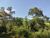 Terreno, 8 hectares - Foto 3