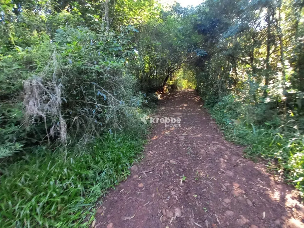 Chácara, 1 quarto, 1891 m² - Foto 7